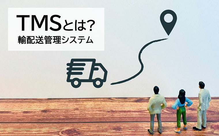 TMS確認用