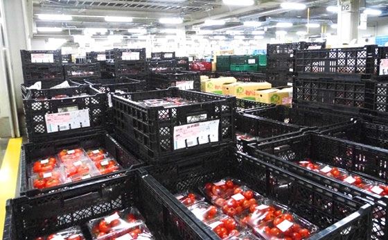 コールドチェーン（イメージ）